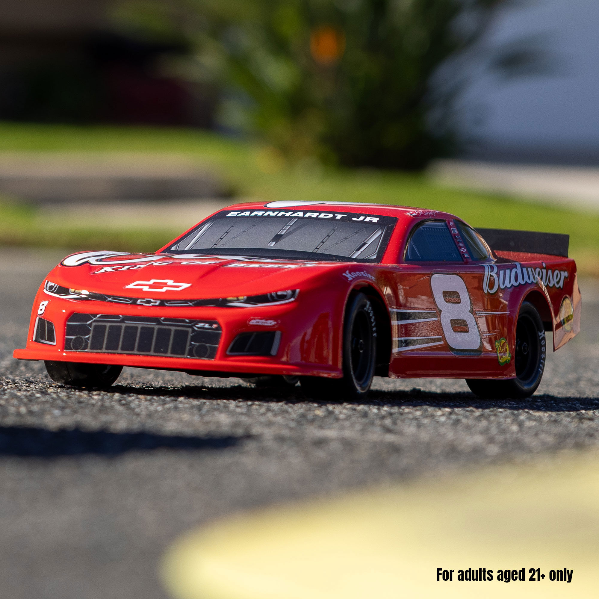 Losi 1/12 Asphalt Late Model RC Race Car Dale Earnhardt Jr. No. 8
