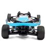 1/24 Limited Edition Pre-Cut/Pre-Painted Crowd Pleazer Templeman Body with ESC Relocator: Losi Micro-B