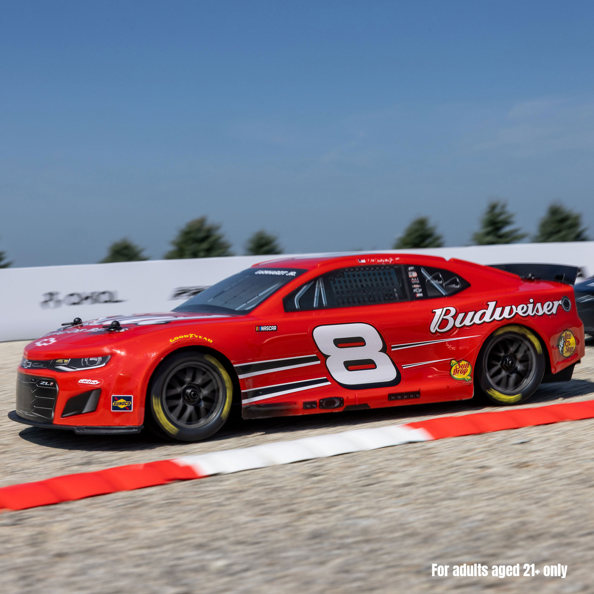 1/12 NASCAR RC Racecar Dale Earnhardt Jr. No. 8 Budweiser