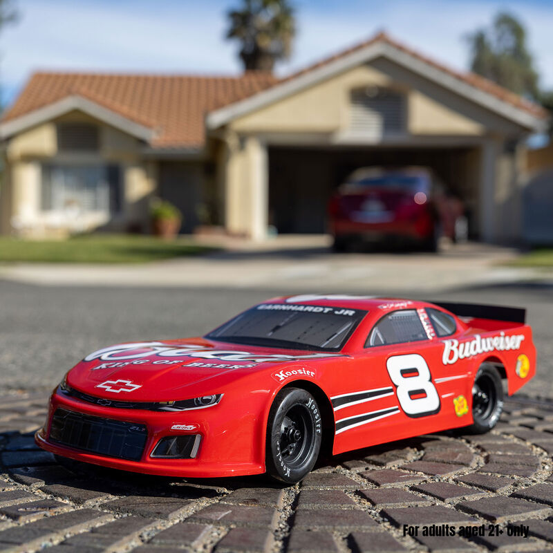 Losi 1/12 Asphalt Late Model RC Race Car Dale Earnhardt Jr. No. 8 2025 ...