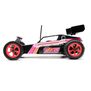 Losi 1/16 Mini JRX2 2S 2WD RTR Brushed Buggy (Battery & Charger Included)
