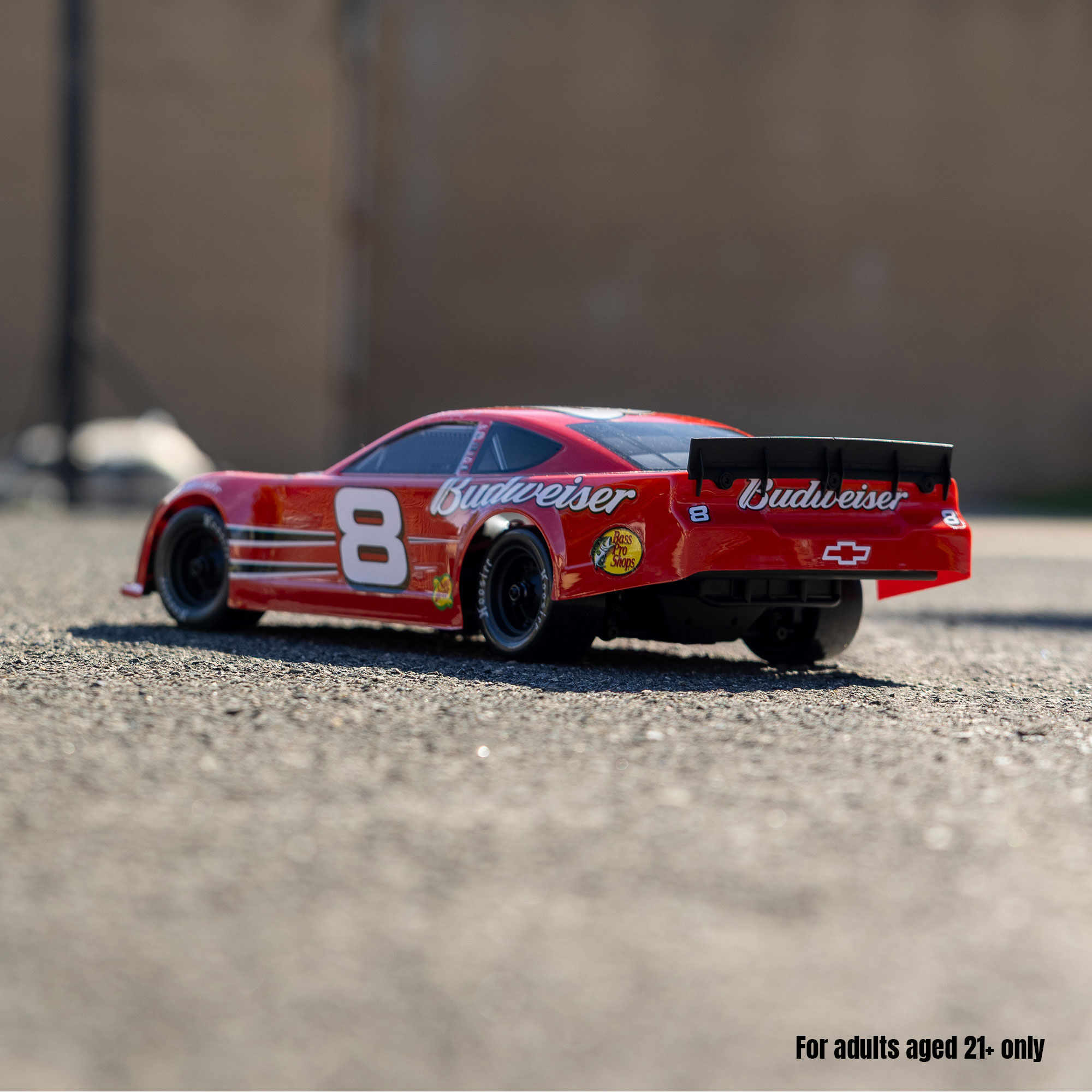 Losi 1/12 Asphalt Late Model RC Race Car Dale Earnhardt Jr. No. 8