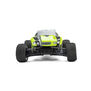 Limited Edition Pre-Cut/Pre-Painted Crowd Pleazer Electrified Body: Losi Micro-T