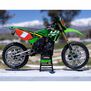 1/4 Promoto-MX Motorcycle RTR with Battery and Charger, Pro Circuit