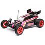 Losi 1/16 Mini JRX2 2S 2WD RTR Brushed Buggy (Battery & Charger Included)